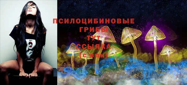 МДПВ Балахна