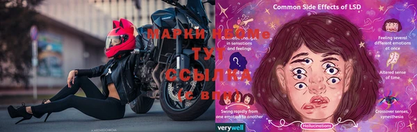 марки lsd Белокуриха