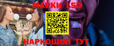 шишки Можга