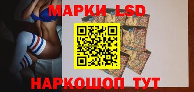 шишки Можга