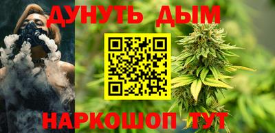 шишки Можга