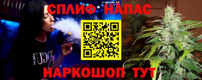 шишки Можга
